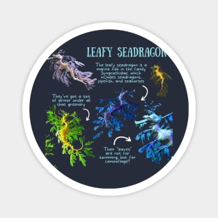 Animal Facts - Leafy Seadragon Magnet